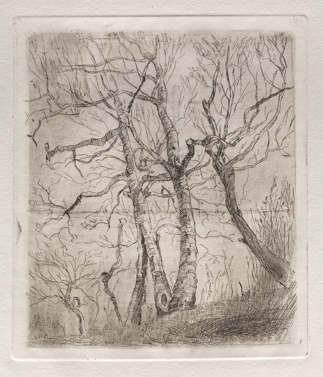 Trees 1878