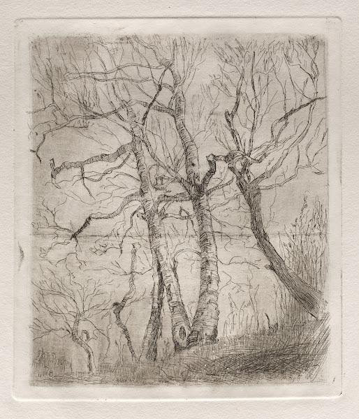 Trees 1878