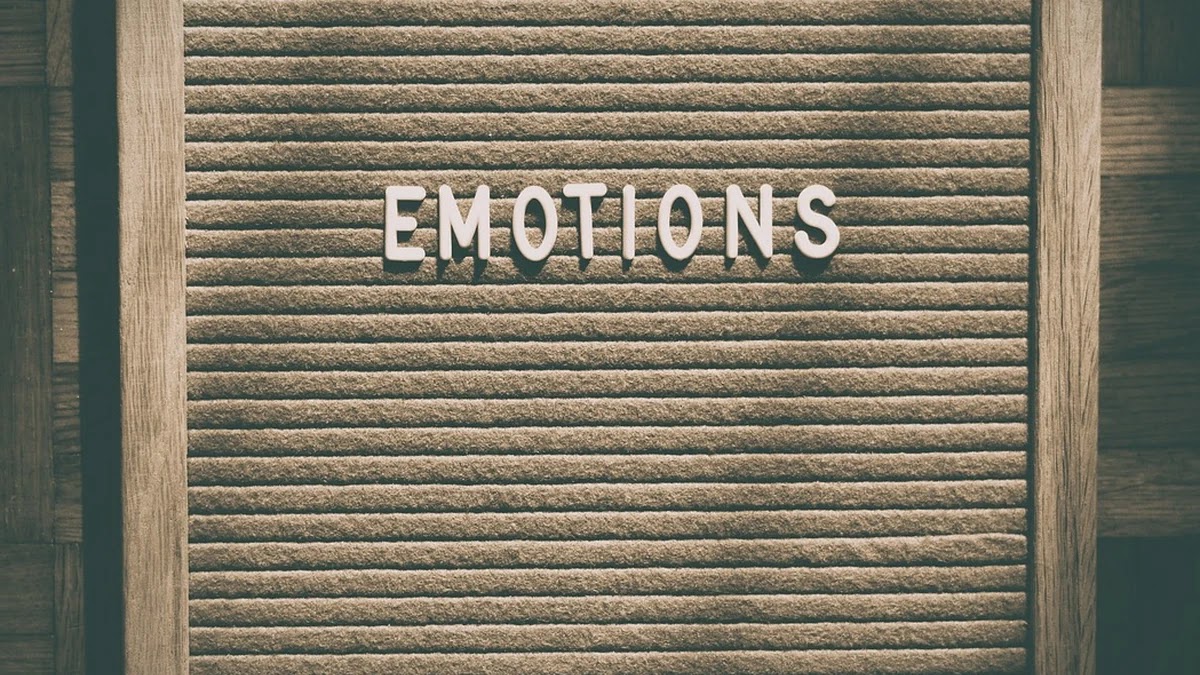 행동경제학 관점에서 본 투자자의 손실회피와 위험 회피 차이 분석