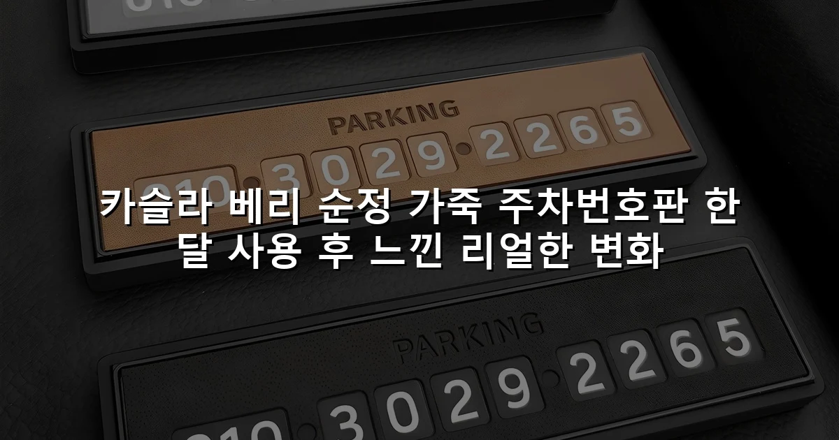 카슬라 베리 순정 가죽 주차번호판 한 달 사용 후 느낀 리얼한 변화