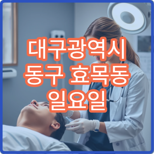 대구광역시 동구 효목동 일요일 당번약국은 어디일까