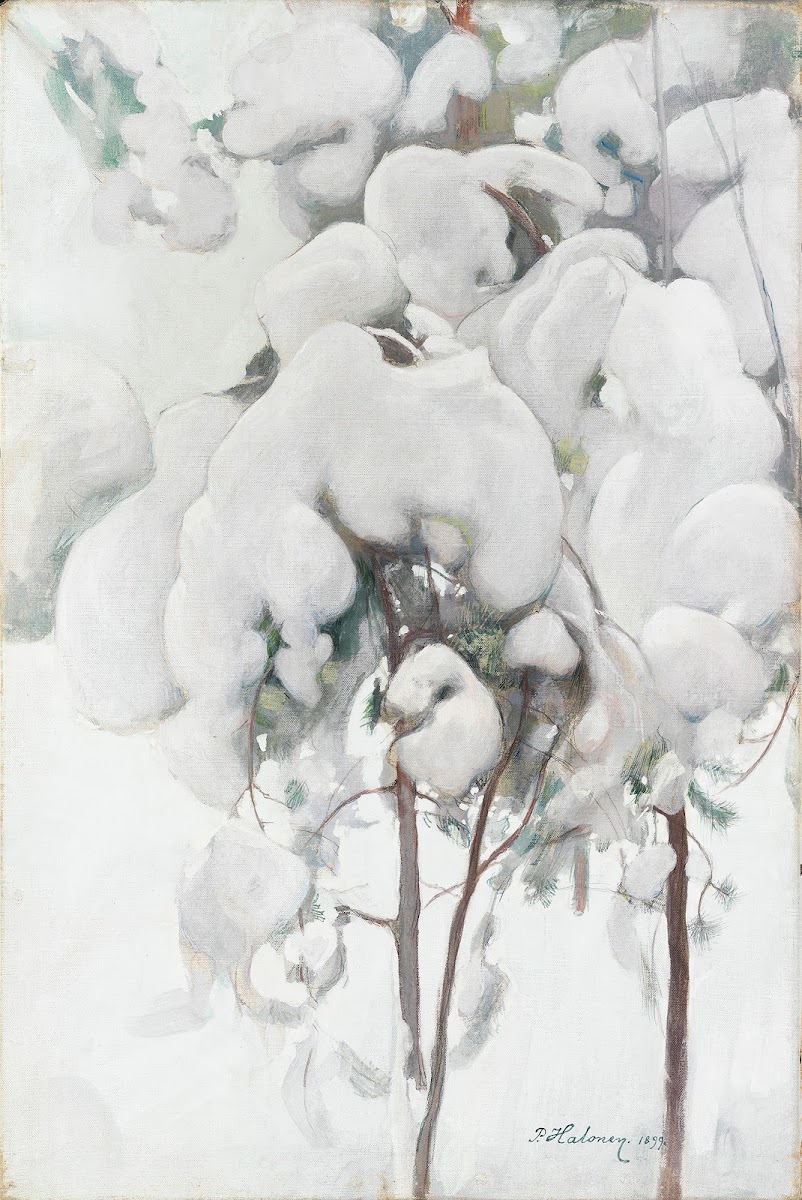 Snow Covered Pine Saplings 1899