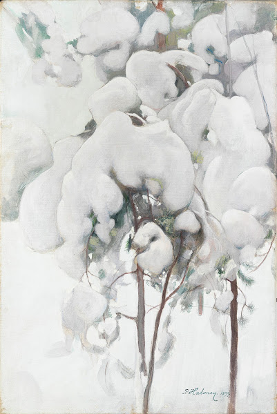 Snow Covered Pine Saplings 1899