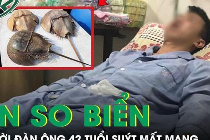 Người đàn ông 42 tuổi suýt mất mạng do ăn so biển - Báo Sức Khỏe &amp; Đời Sống