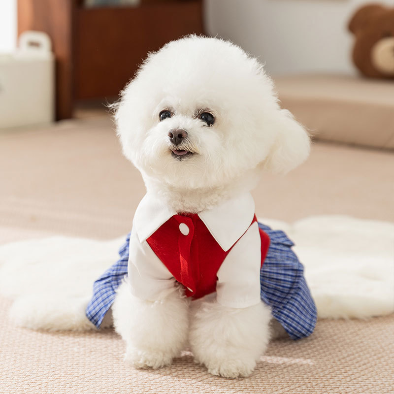 Checked dress for small dogs – Autumn and Winter