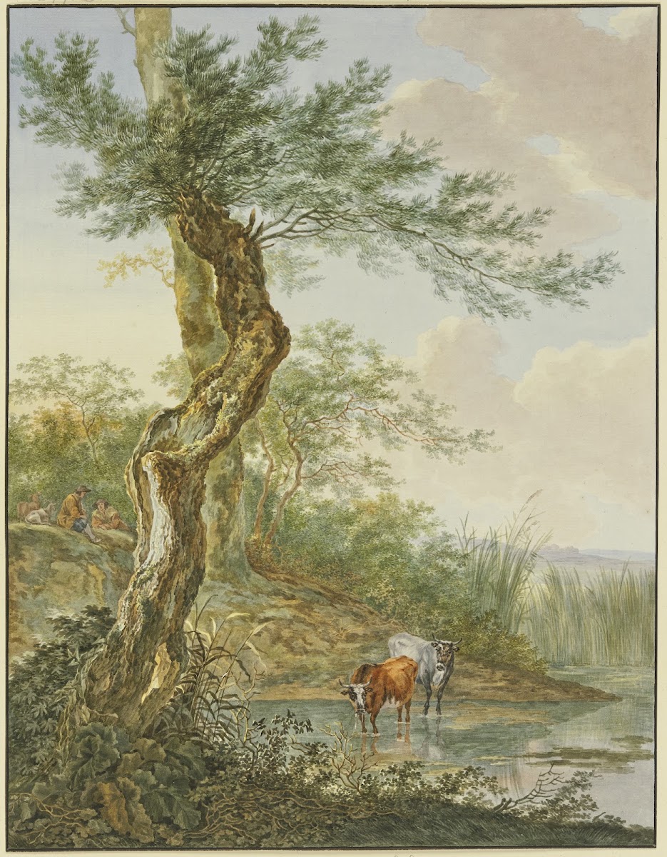 Landschaft mit Wasser daran ein alter Weidenbaum im Wasser zwei Kühe