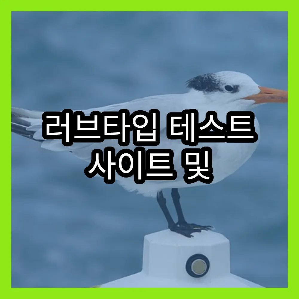 러브타입 테스트 사이트 및 일본 버전과 차이점 정리