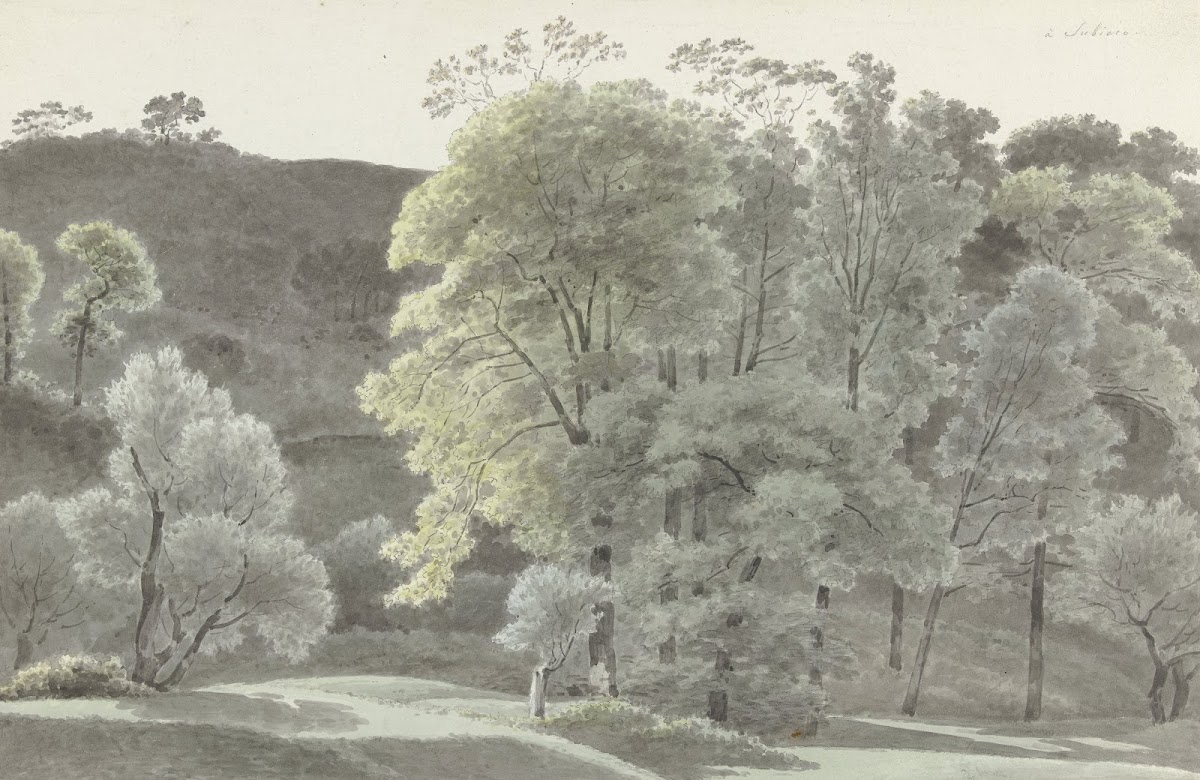 Bomen in de omgeving van Subiaco 1778   1847