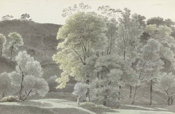 Bomen in de omgeving van Subiaco 1778   1847