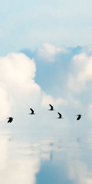 Sky, Clouds, Birds, Nature 4K Wallpaper Background