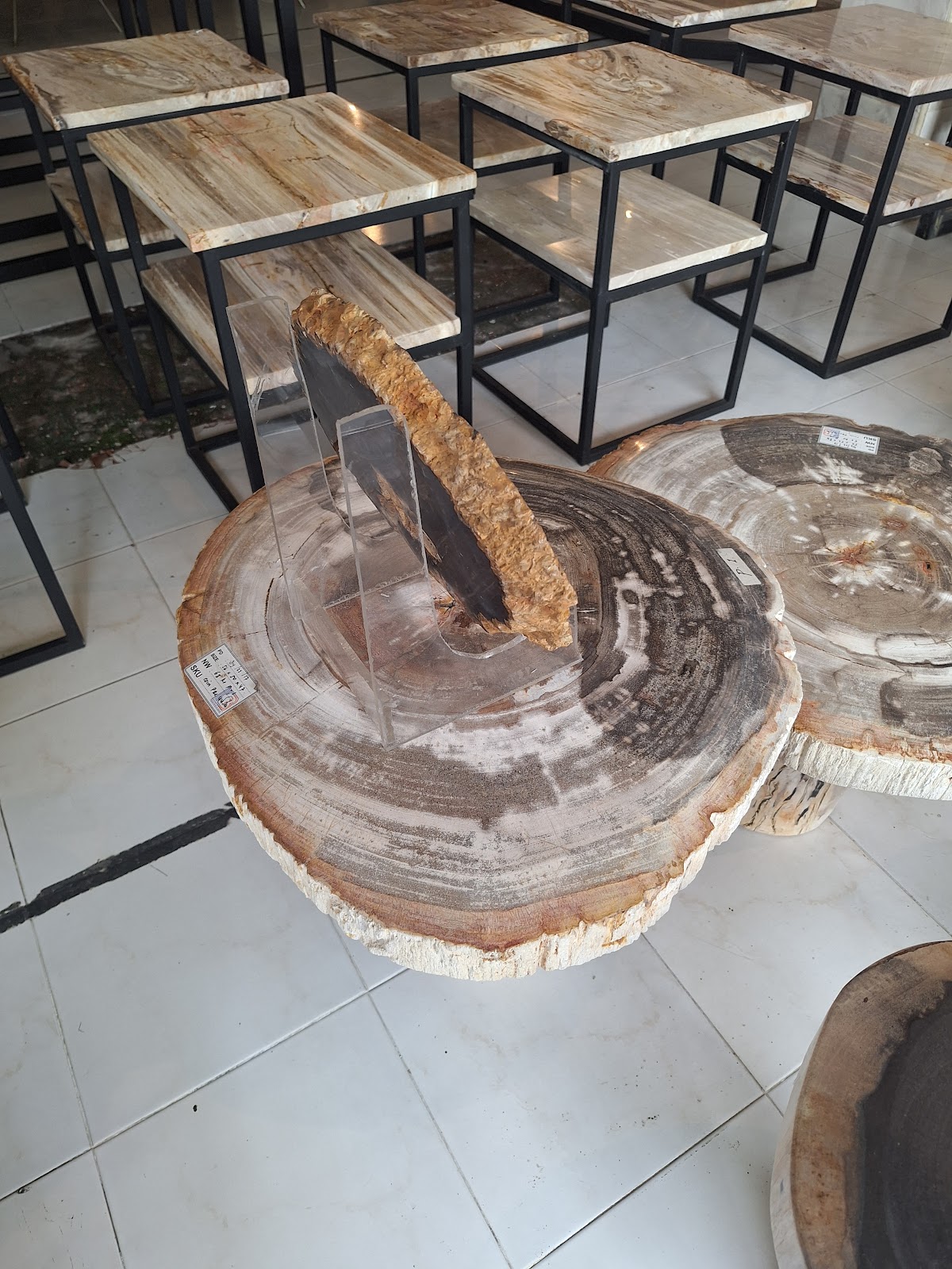 SIDE TABLE JAMUR — SKU STJM.009 | Petrified Wood by PJ Antique Bali