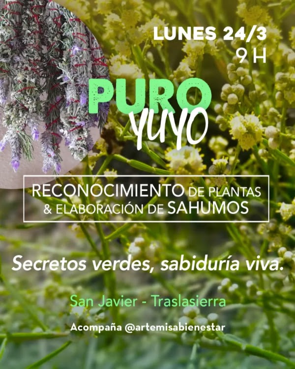 PURO YUYO