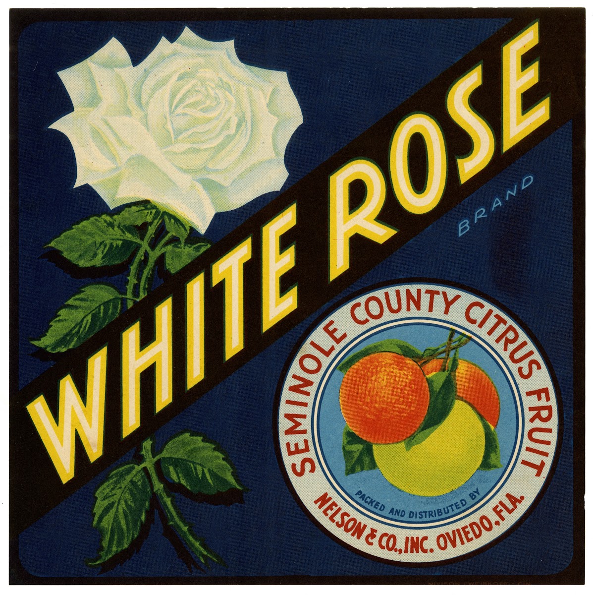 White Rose Brand Citrus Label 1930s