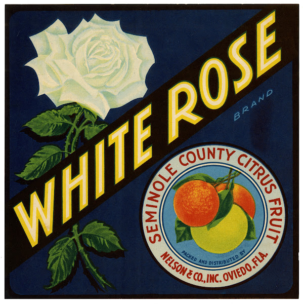 White Rose Brand Citrus Label 1930s