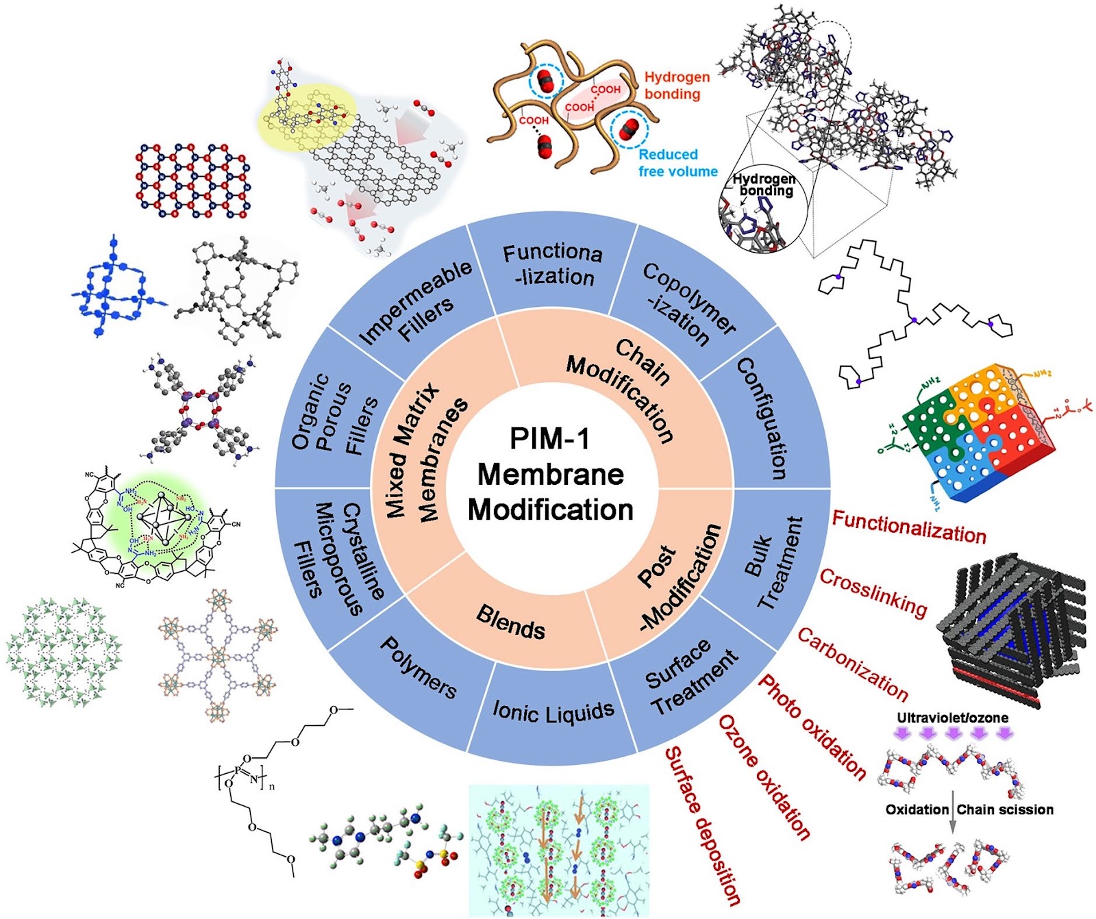Membranes of Polymer of Intrinsic Microporosity PIM-1 for Gas Separation: Modification Strategies and Meta-Analysis