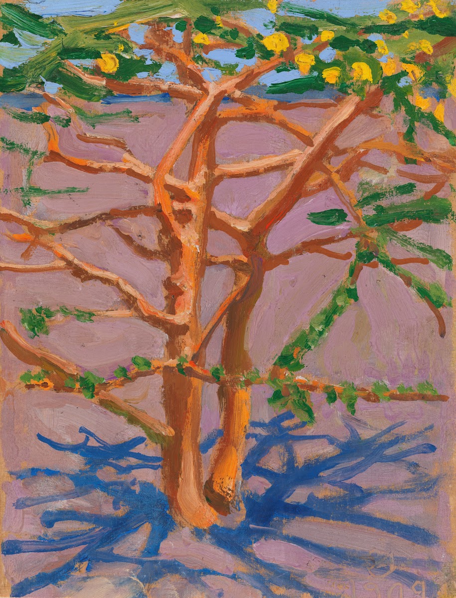 Acacia on the Savannah 1909