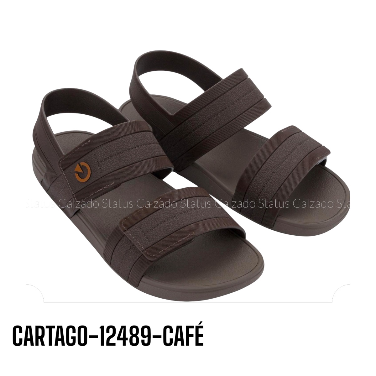CARTAGO-12489-CAFÉ