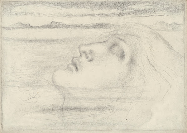 Head study