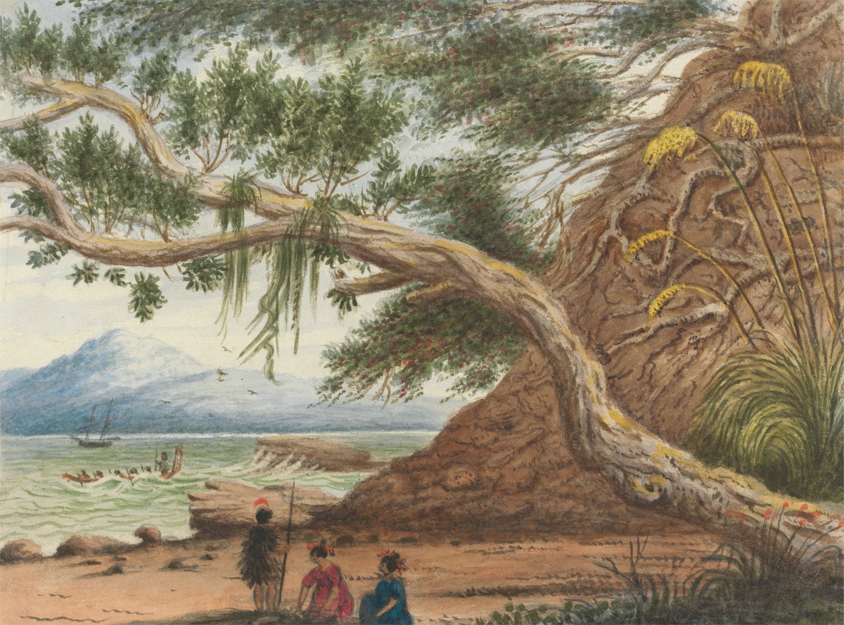 View near Auckland Maori Warrior and Women 1860
