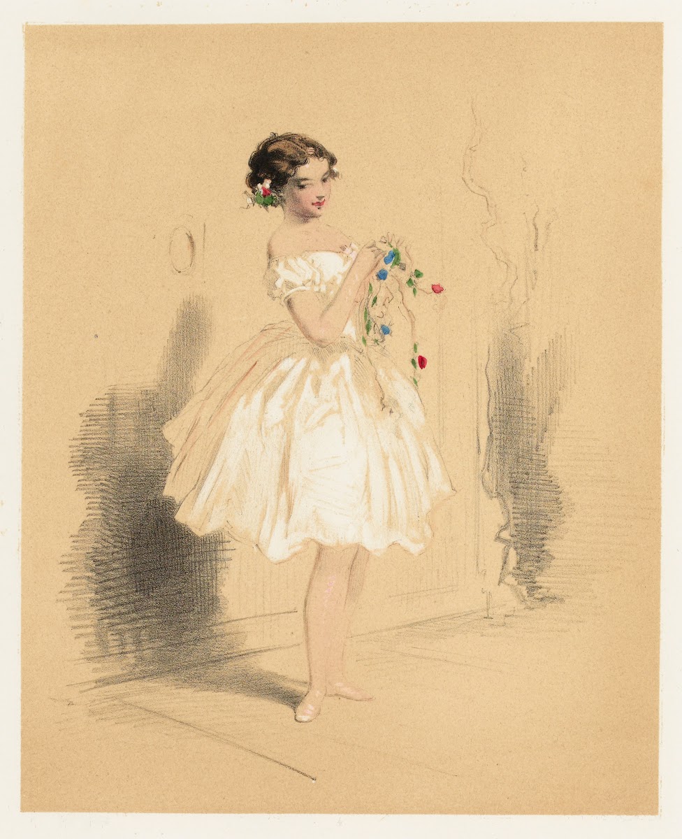 Fleur des pois 1853