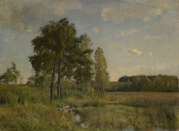 Marécage