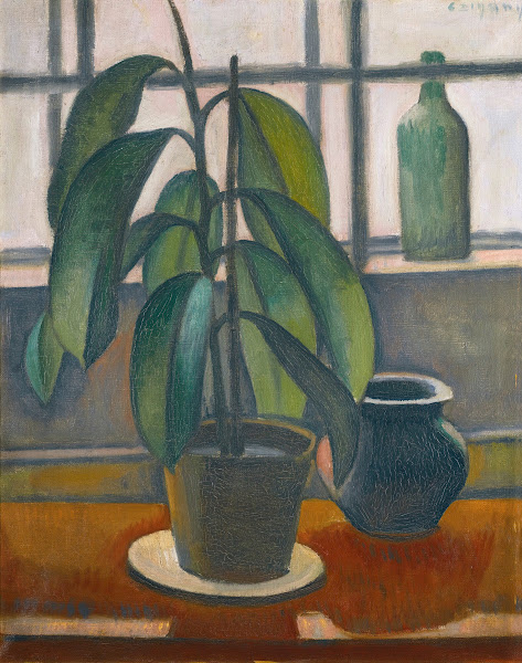 A Rubber Plant On A Window Ledge