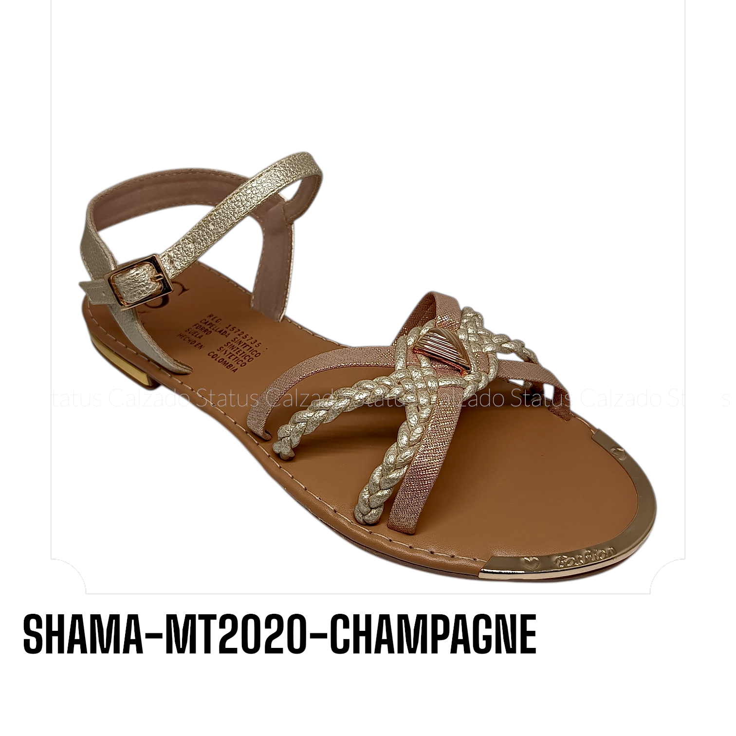 SHAMA-MT2020-CHAMPAGNE
