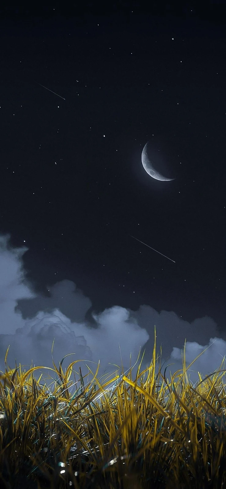 Crescent Moon Over Golden Field - Digital Art Full HD iPhone Wallpaper (1090x2360)