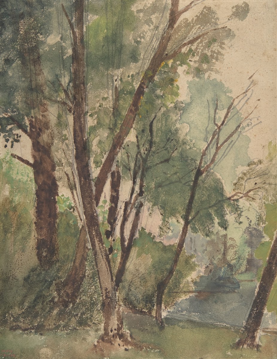 Trees Beside a Pond 18531878