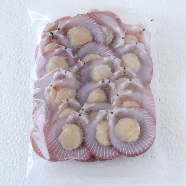 Half Shell Scallop (Pink) 6-7CM