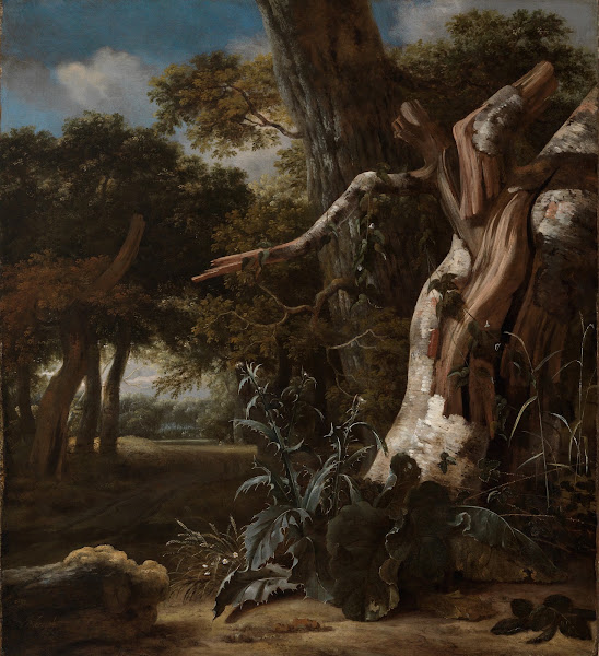 Waldlandschaft mit einer vom Blitz getroffenen Buche 1669