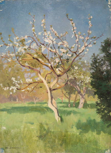 Apple Tree in Blossom 1897