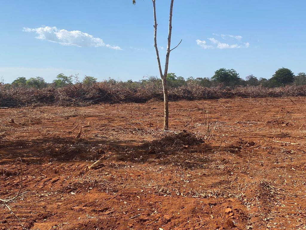 Fazenda em Nova Crixás - GO 3