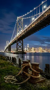 Tropical Paradise Beach with Turquoise Ocean