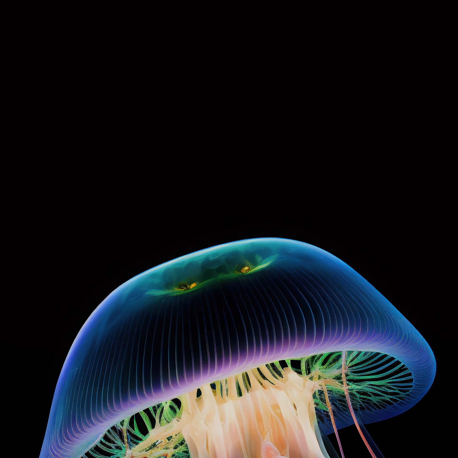 Download Vibrant Neon Jellyfish Under Water 4K iPhone