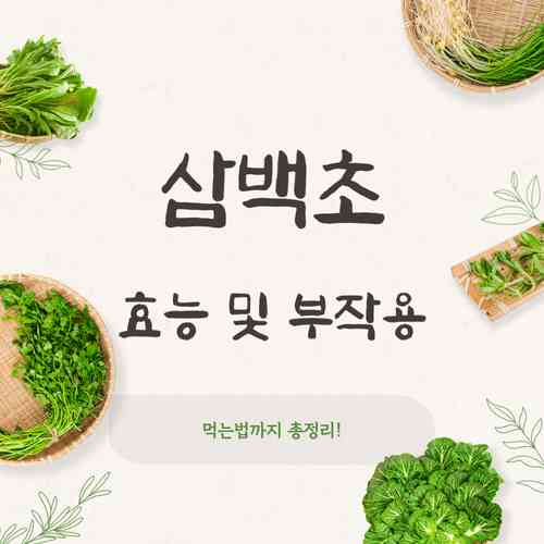 삼백초 효능과 부작용, 차로 먹는 법까지 총정리