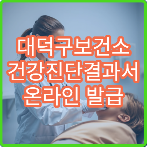 대덕구보건소 건강진단결과서 온라인 발급 방법 및 수수료 정리