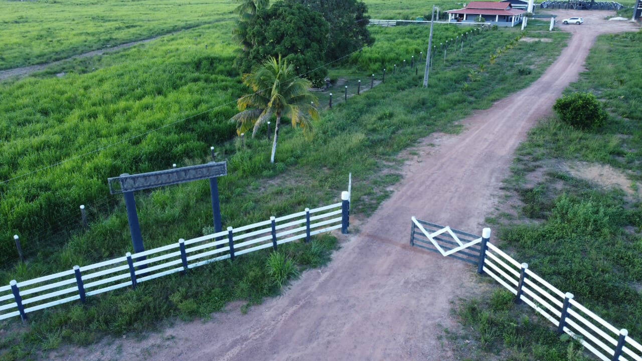 Fazenda em Tailândia-PA 5