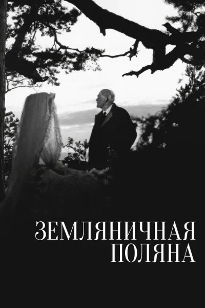 Земляничная поляна