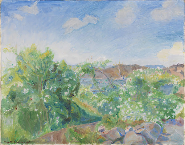 Flowering Dog Roses 1926
