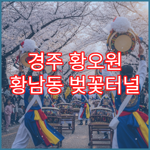 경주 황오원 황남동 벚꽃터널 1km 직선길 평일 새벽 출사 황금시간