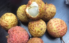Nhãn bóc vỏ, bỏ hạt cho vào một chén riêng.