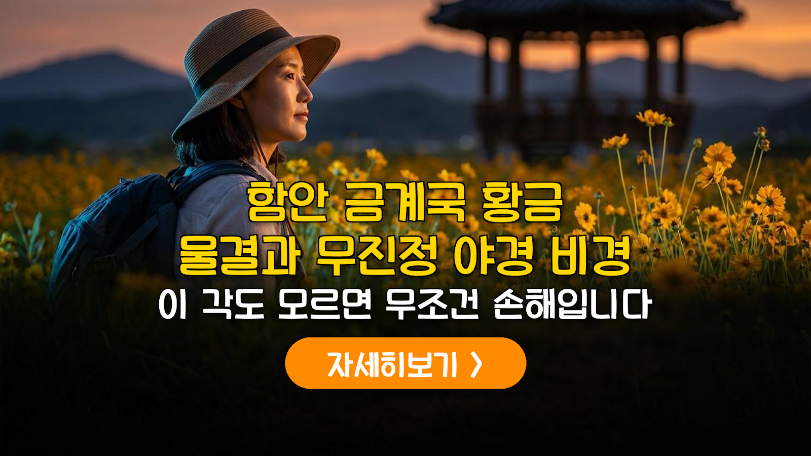 함안 악양생태공원 금계국 개화 및 무진정 야경 분석 가이드