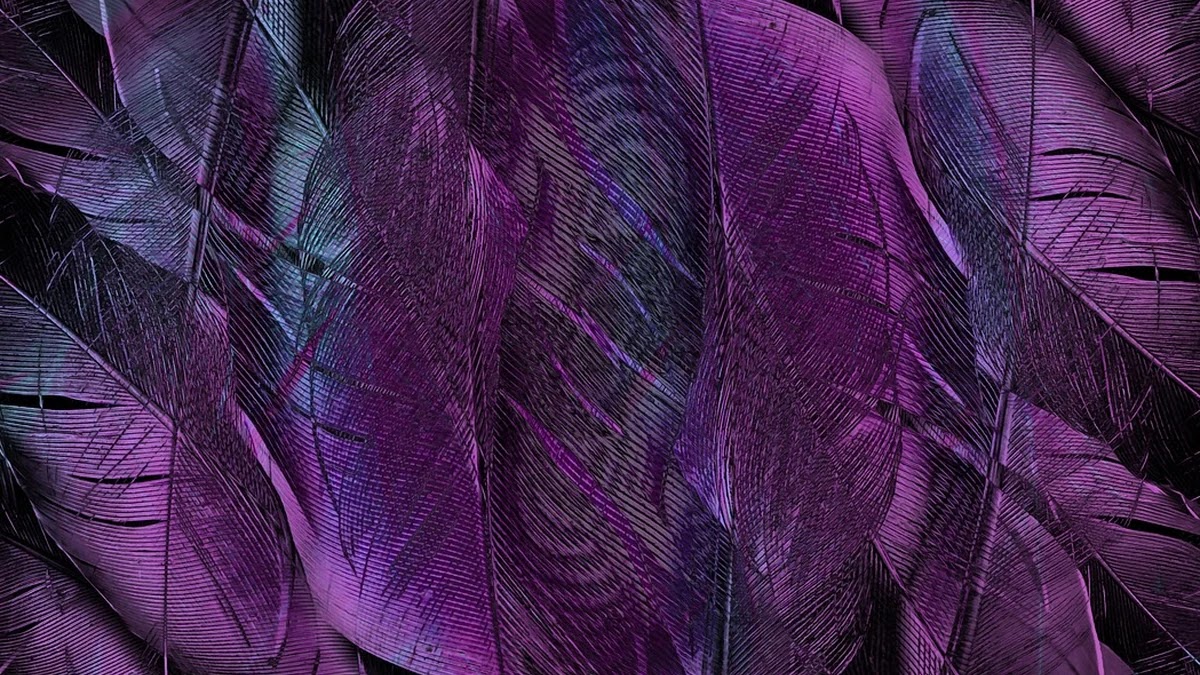 사업자 부가세 환급 신청 방법과 절세 효과 분석