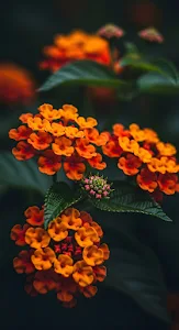 Cozy Autumn Forest Path