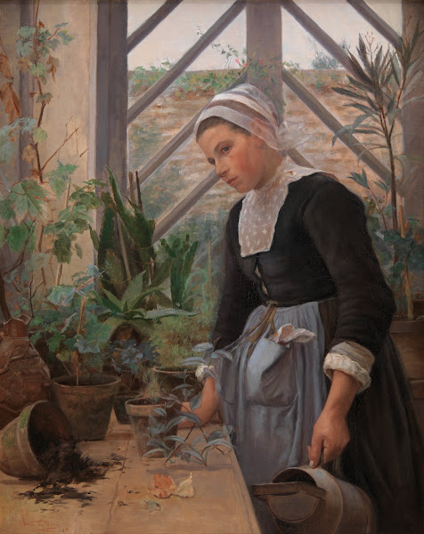 Breton Girl Looking After Plants In The Hothouse