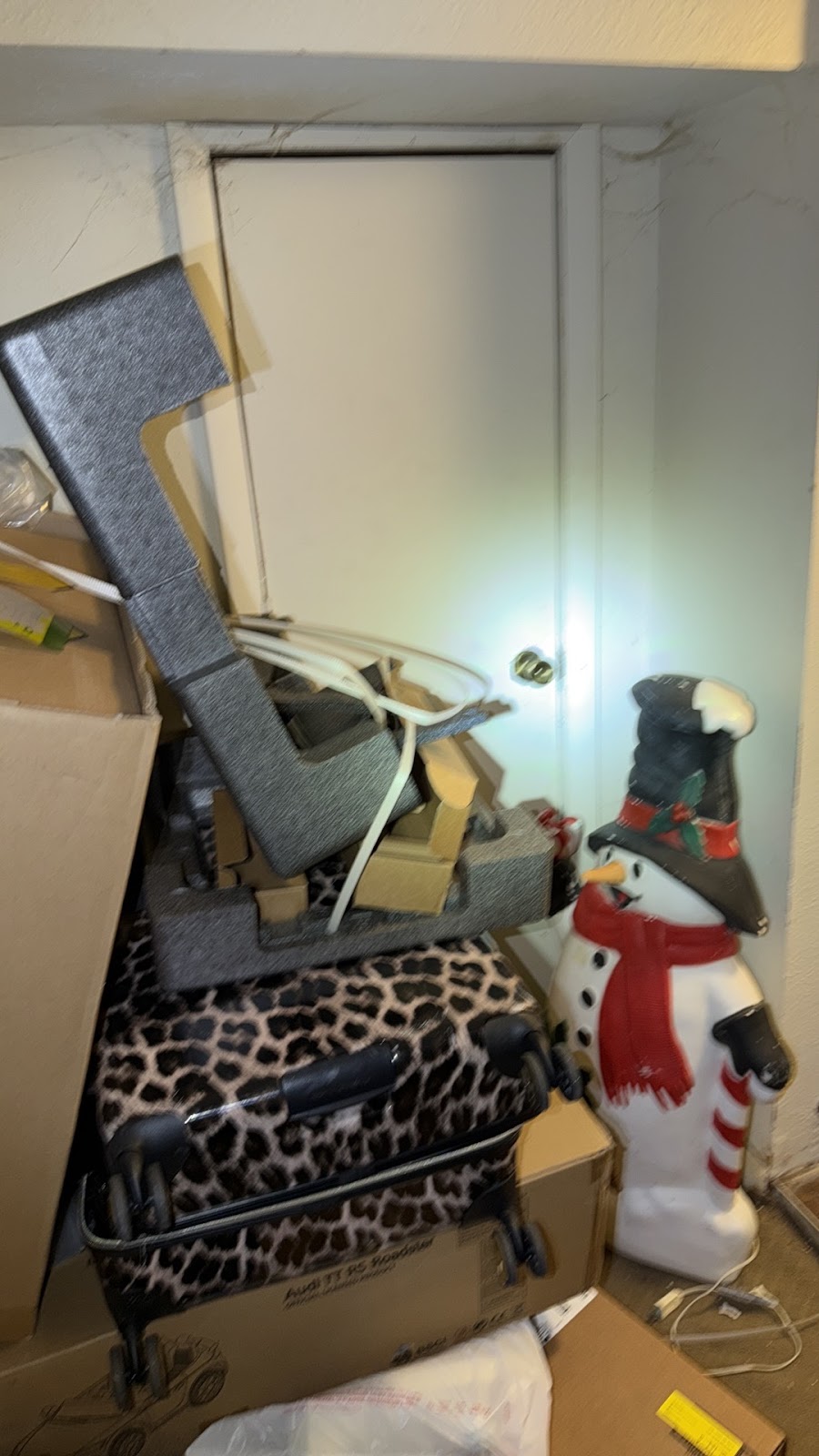 Copy of IMG_2026-03-13_14-53-55_209.jpg