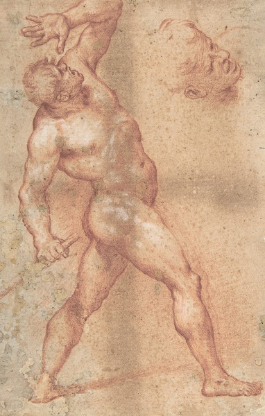 Male Nude with Left Arm Upraised and a Further Study of His Head 160756