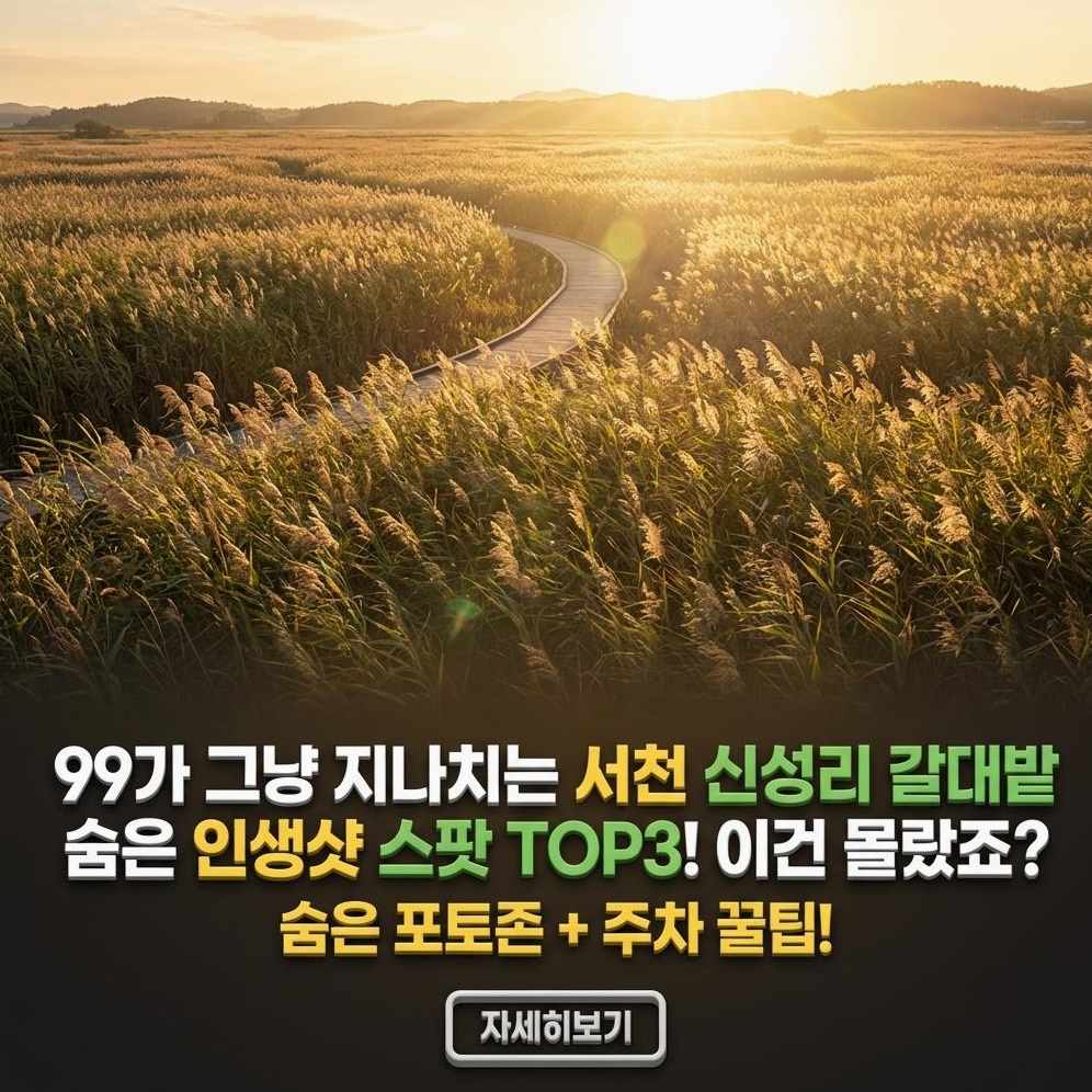 서천 신성리 갈대밭, 가족 여행 완벽 가이드