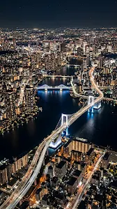 Luxury Skeleton Watch Mechanical Movement